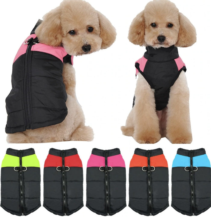 chaleco impermeable para perro